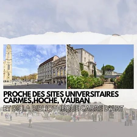 Cozy Centre-ville Nîmes